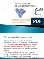 Plasma Protein