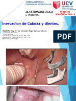 Inervación de Cabeza y Dientes