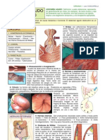 AA Obstructivo-C