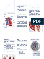 Triptico Valvulopatía