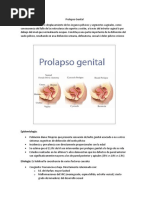 Prolapso Genital