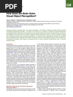 Perspective: How Does The Brain Solve Visual Object Recognition?