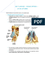Resumen Nariz Faringe Laringe