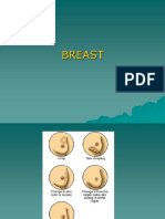 Breast Lecture