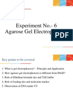 Experiment No.-6 Agarose Gel Electrophoresis