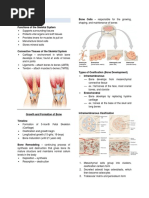 Skeletal System: Bone Cells