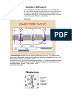 Mecanismos de Transporte