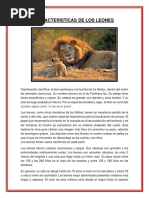 Caracteristicas Del Leon