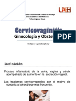 Cervicovaginitis Fany