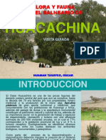 Visita Guiada Huacachina PDF