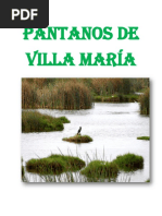 Pantanos de Villa María Chimbote