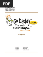 Final Report: Godaddy Site