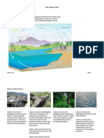 Carbon Cycle