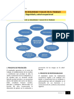 Lectura-Principio de La Seguridad y Salud en El Trabajo