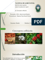 Cercospora Coffeicola1