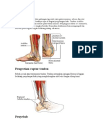 Ruptur Tendon