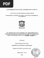 Yuca Tesis PDF