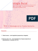 TP 3 Tejidos Dentarios