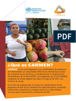 Proyecto Carmen