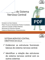 Fisiologia Do Sistema Nervoso Central