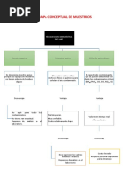 Mapa Conceptual de Muestreos