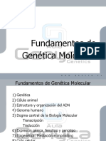 Fundamentos de Genetica Molecular