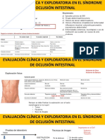 Sindorme de Obstruccion Intestinal