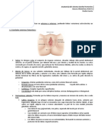 Anatomia Del Sistema Reproductor Femenino - Final