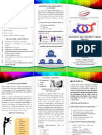 Triptico Psicologia PDF