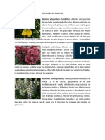 Catalogo de Plantas