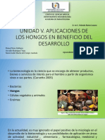 G. Biotecnología