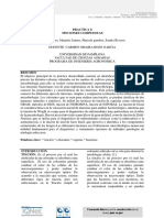 INFORME Tinciones Compuestos PDF