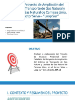 EIA-sd - Loop Sur 23.11 PDF