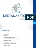 Dental Anatomy