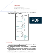 (Resumo) Bioquim - Catabolismo de Proteinas