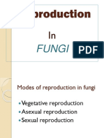 Reproduction in Fungi