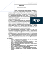 Practica 8 Oxidaciones PDF