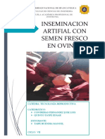 Inseminación Artificial Con Semen Fresco en Ovinos