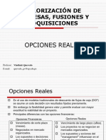 Opciones Reales