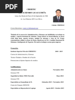 CV Erick Licas PDF