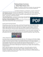 Photosynthesis Summary By: Abdul Majid Hasani