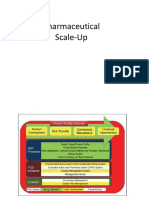 Pharmaceutical Scale-Up