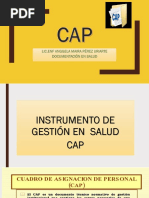 Cap Documentacion en Salud