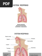 Anatomi Sistem Respirasi Biom 2 - 2018