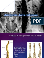 Anatomía (Columona) .PPX