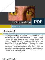 Modul PBL Mata Kuning