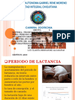 Periodo de Lactancia