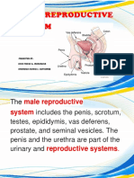 Male Reproductive Report