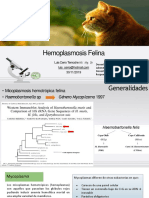 Mycoplasma