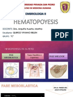 Hematopoyesis